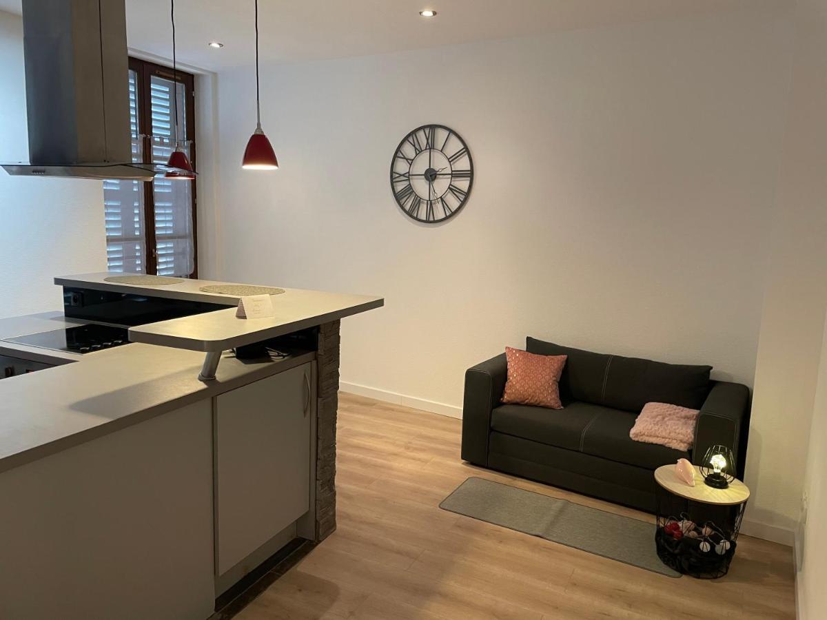 Apartament Chaleureux F2 Dans L'Hypercentre Colmarien Zewnętrze zdjęcie